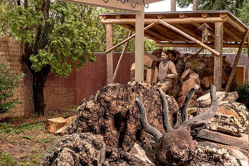 Portland Peppermill Company shop with raw wood